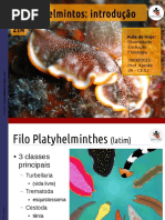 2em05-ago2015platelmintosintro-150829012054-lva1-app6892