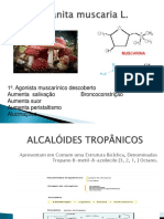 2-ALCALÓIDES TROPÂNICOS (2).pdf