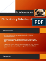 Comparación Del Tratamiento en Ehrlichiosis y Babesiosis en Perros