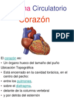 Sistema Circulatorio Coraz