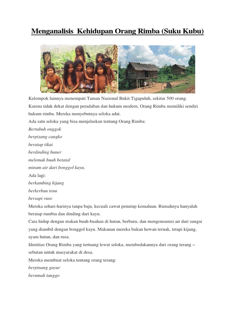 Menganalisis Kehidupan Orang Rimba (Suku Kubu) | PDF