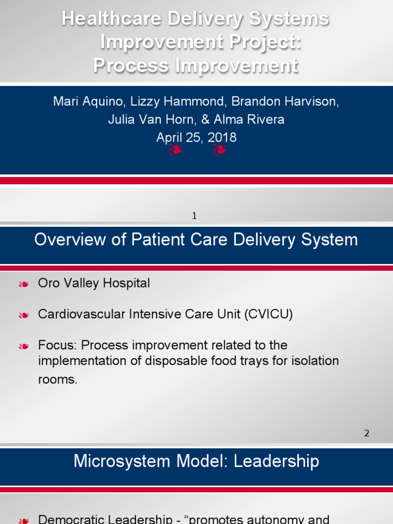 n479 Qip Presentation PDF Health Care Nursing