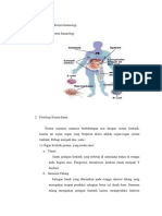 Anatomi Fisiologi Sistem Imunologi