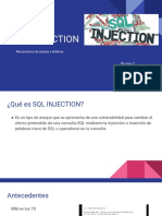 SQL Injection g1 PDF
