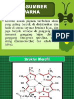 Klorofil