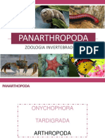 Filo Arthropoda - Características e Taxonomia