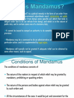 What Is Mandamus SLide