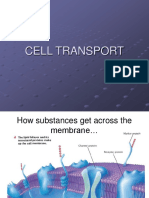 Cell Transport