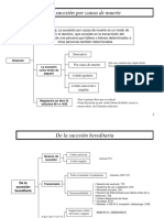 ESQUEMA-Derecho Sucesorio, Carlos Lopez..pdf