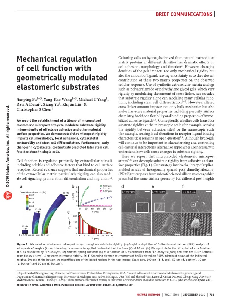 Mechanical Regulation of Cell Function With Geometrically Modulated ...