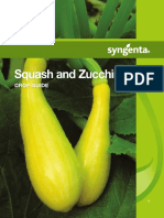 Squash Zucchini Crop Guide