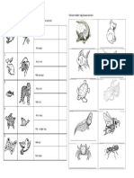 Lembaran Kerja Ciri Haiwan Tahun 3