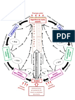 Ciclo Geológico