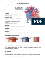 Sistema Cardiovascular