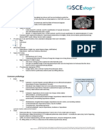 CT Interpretation PDF