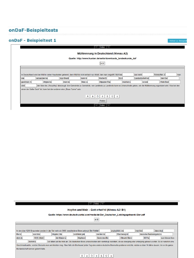 Beispieltest Ondaf Onset Pdf