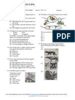 UNSD2013IPA999.pdf