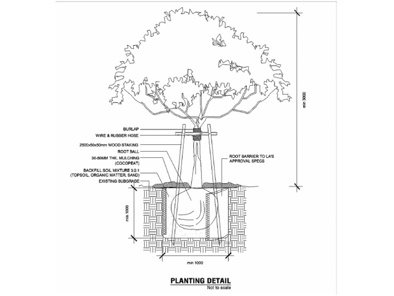 Tree Planting Detail PDF