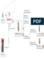 Mapa Mental Financiamento Do Sus