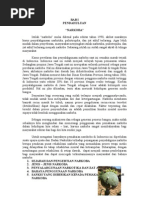 Format Surat Lolos Butuh.docx