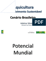 4 Aquicultura Desenvolvimento Sustentavel Cenario Do Brasileiro Adalmyr Borges