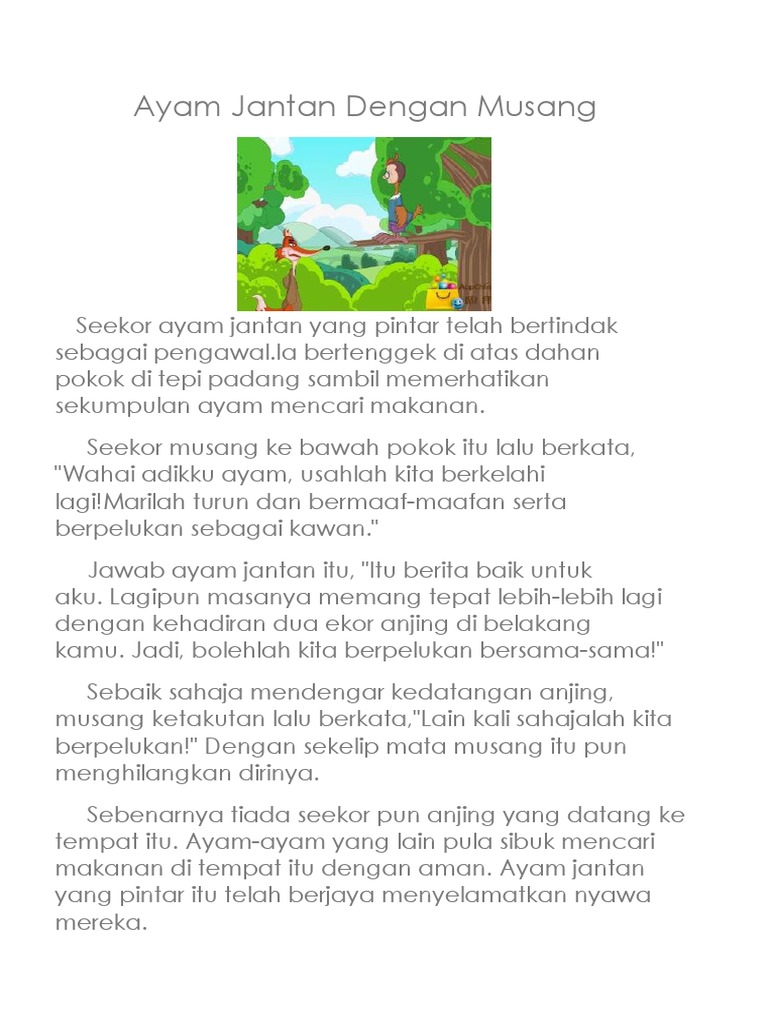 Ayam Jantan Dengan Musang