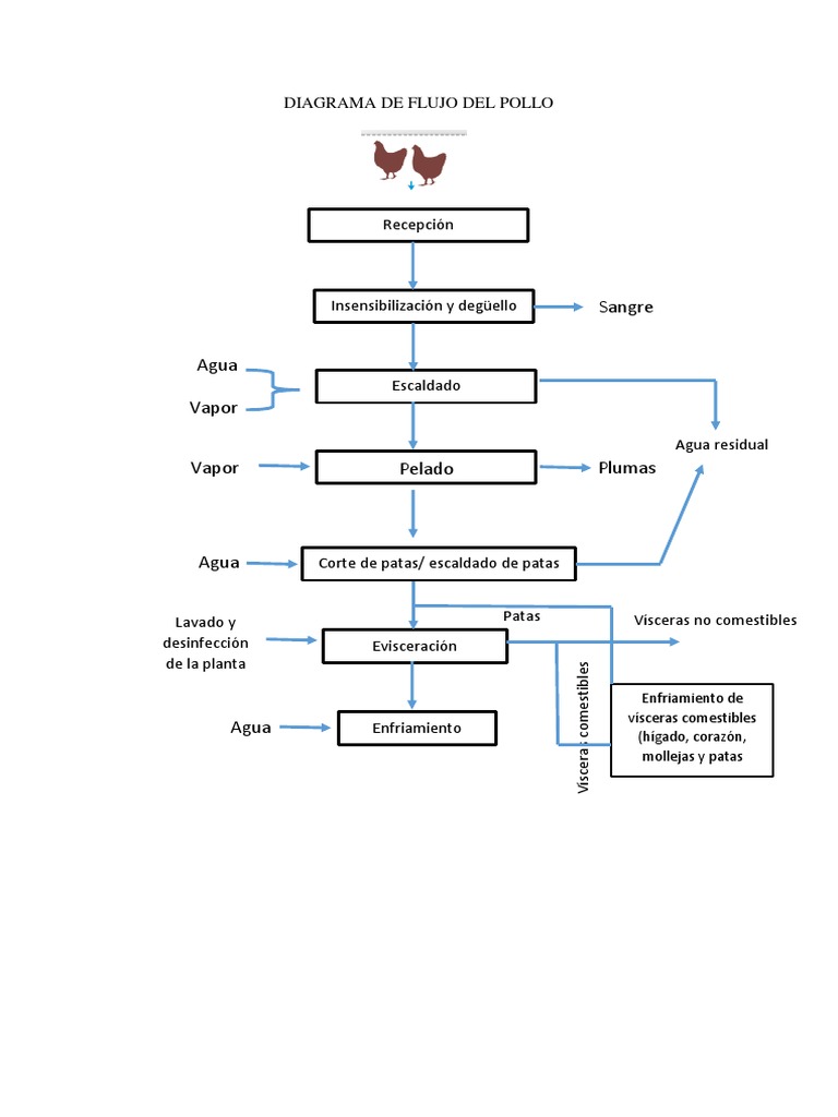 Diagrama de Flujo Del Pollo Menudencias Pollo Prueba