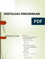 Histologi Pencernaan