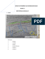 Laporan Praktikum Interpretasi Seismik Refleksi Modul I Identifikasi Jebakan