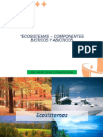 Eco Sistem As