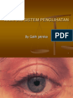 Anatomi Sistem Penglihatan: by Galih Jatnika