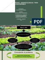 Bases y Estrategias Agroecológicas Para Una Agricultura Sustentable