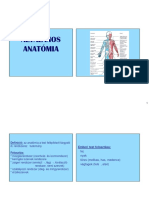 anat.pdf