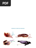 01_FORMAS_ANIMAIS=CM