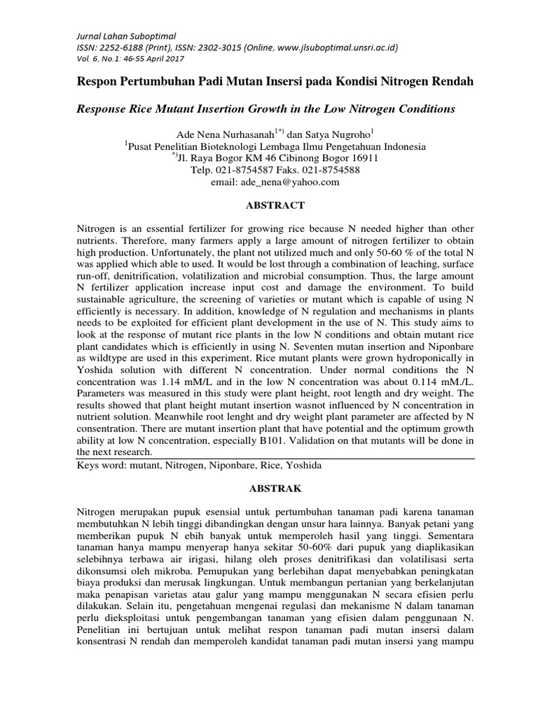 Response Rice Mutant Insertion Growth in The Low Nitrogen Conditions | PDF