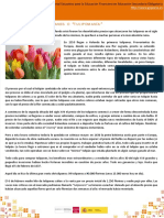 crisis_tulipanes.pdf