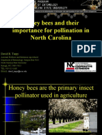 Honey Bees and Their Importance For Pollination in North Carolina