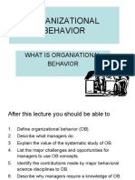 Organizational Behavior: What Is Organiational Behavior