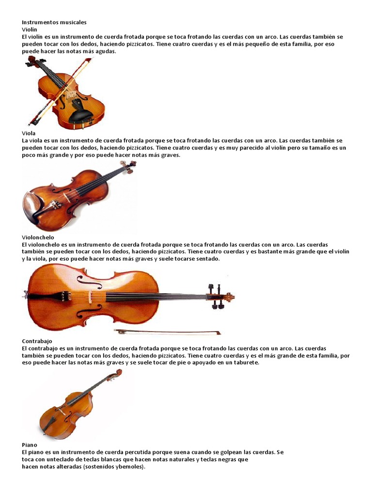 Instrumentos de cuerda y sus características | PDF | Instrumentos de ...