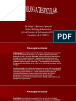 4. J. patologia testicular.pptx