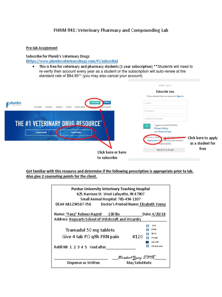 Pre Lab Worksheet Pdf