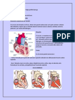 Caso Clinico