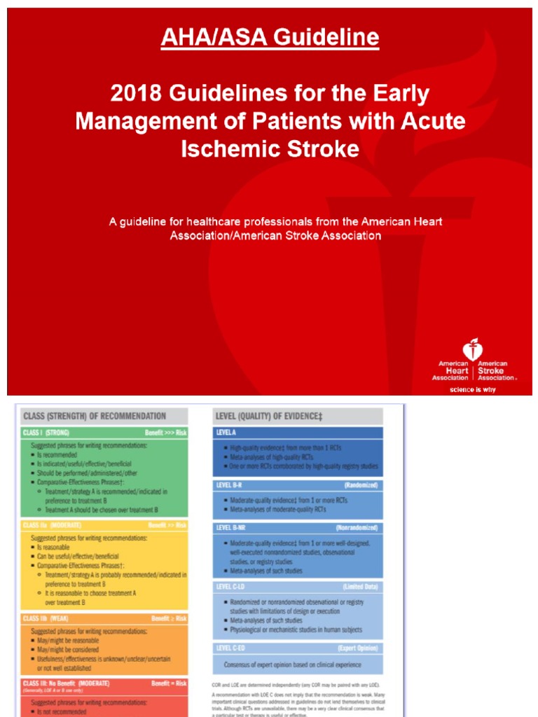Guideline Acute Ischemic Stroke AHA 2018 (Translated to