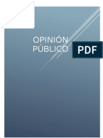 Opinión Publica 