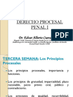 TerceraSemana_PrincipiosProcesales_I.ppt