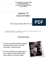 C16. Ciclo de Krebs