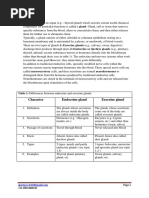 Endocrine Gland