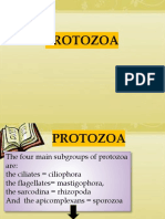 9324 3 Protozoa