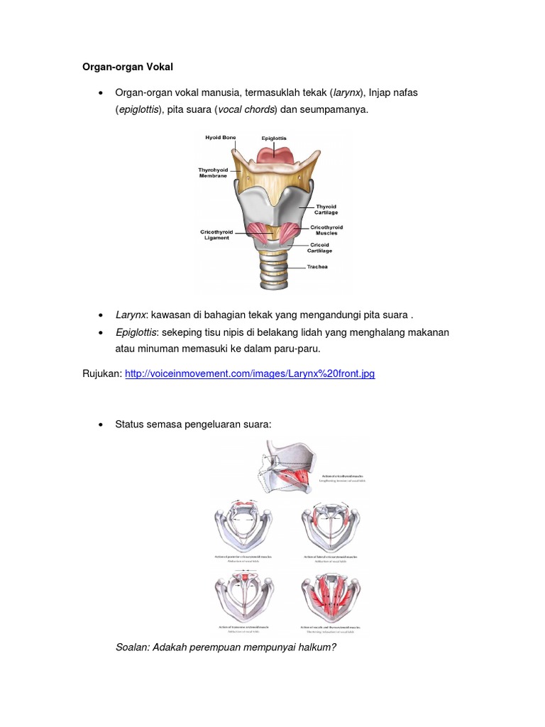 Vokal | PDF