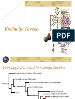 Evolucija